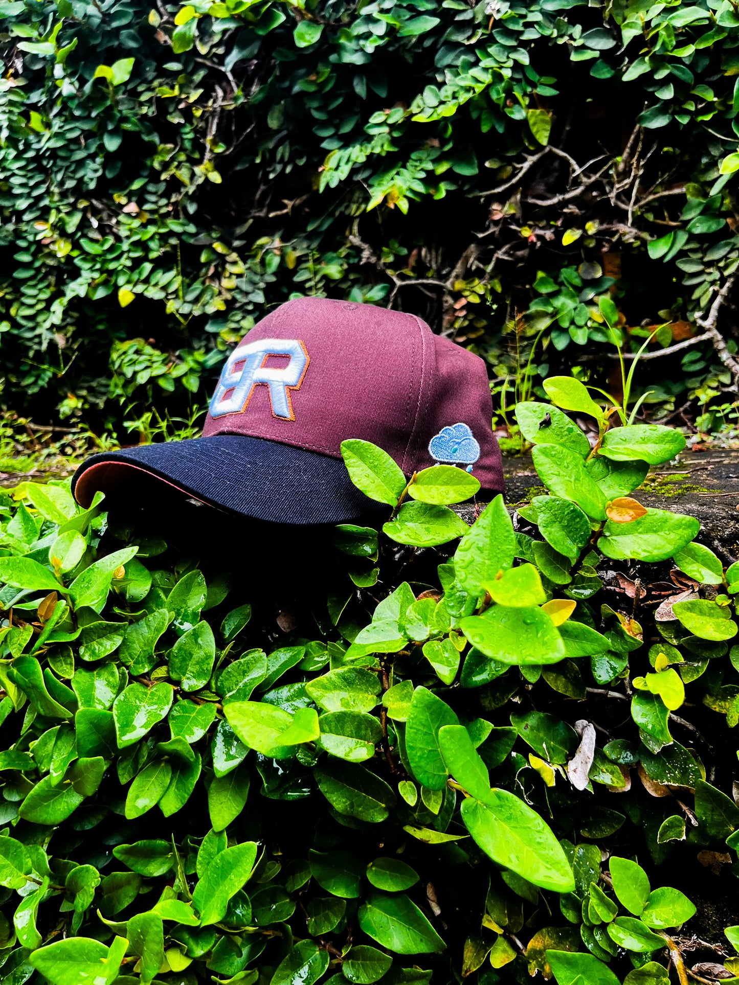 Brown Cotton & Pink Visor Hat